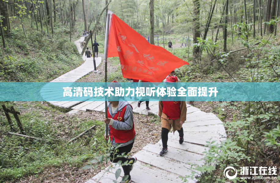 高清码技术助力视听体验全面提升