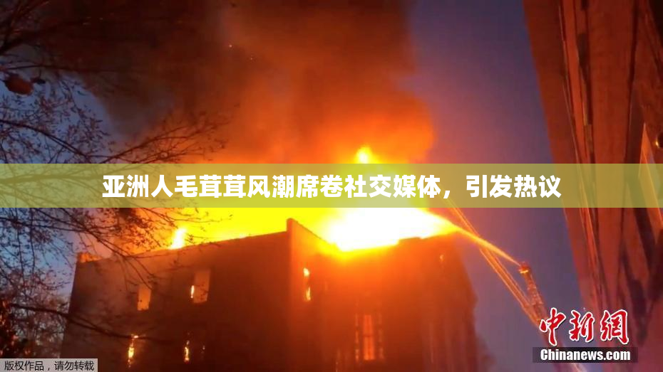 亚洲人毛茸茸风潮席卷社交媒体，引发热议