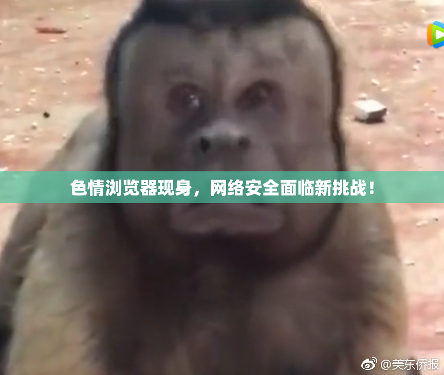 色情浏览器现身，网络安全面临新挑战！