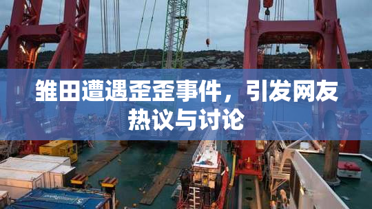 雏田遭遇歪歪事件，引发网友热议与讨论