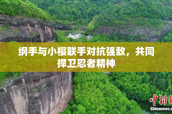 纲手与小樱联手对抗强敌，共同捍卫忍者精神