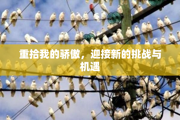 重拾我的骄傲，迎接新的挑战与机遇