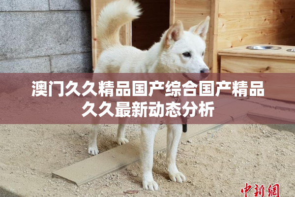 澳门久久精品国产综合国产精品久久最新动态分析