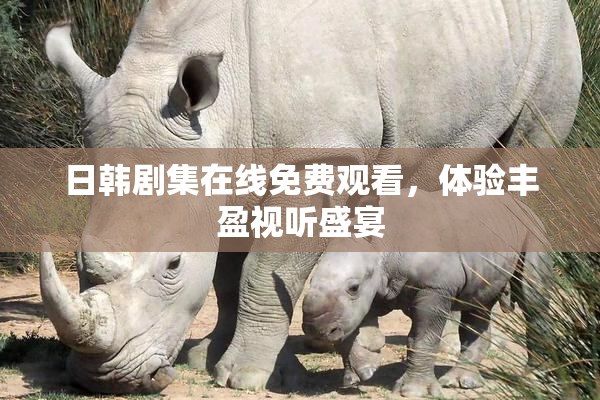 日韩剧集在线免费观看，体验丰盈视听盛宴