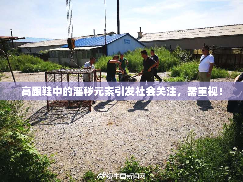 高跟鞋中的淫秽元素引发社会关注，需重视！