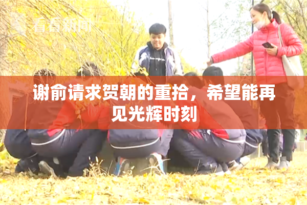 谢俞请求贺朝的重拾，希望能再见光辉时刻