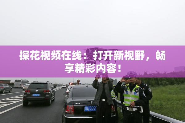 探花视频在线：打开新视野，畅享精彩内容！