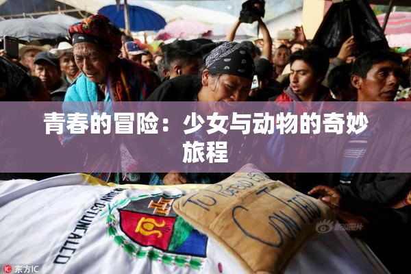 青春的冒险：少女与动物的奇妙旅程