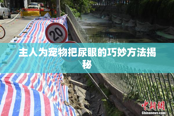 主人为宠物把尿眼的巧妙方法揭秘