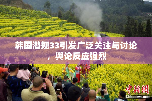 韩国潜规33引发广泛关注与讨论，舆论反应强烈