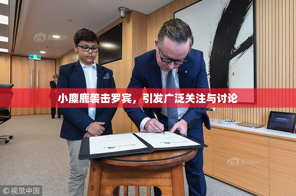 小麋鹿袭击罗宾，引发广泛关注与讨论