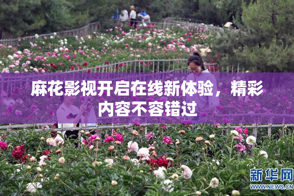 麻花影视开启在线新体验，精彩内容不容错过