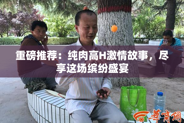 重磅推荐：纯肉高H激情故事，尽享这场缤纷盛宴