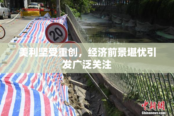 美利坚受重创，经济前景堪忧引发广泛关注