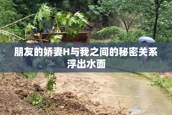 朋友的娇妻H与我之间的秘密关系浮出水面