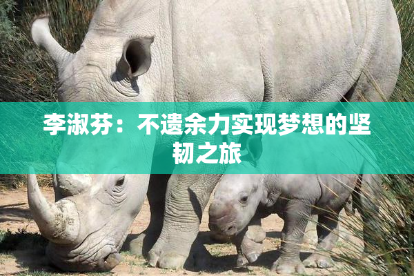 李淑芬：不遗余力实现梦想的坚韧之旅