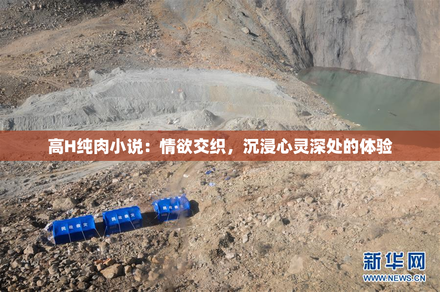 高H纯肉小说：情欲交织，沉浸心灵深处的体验