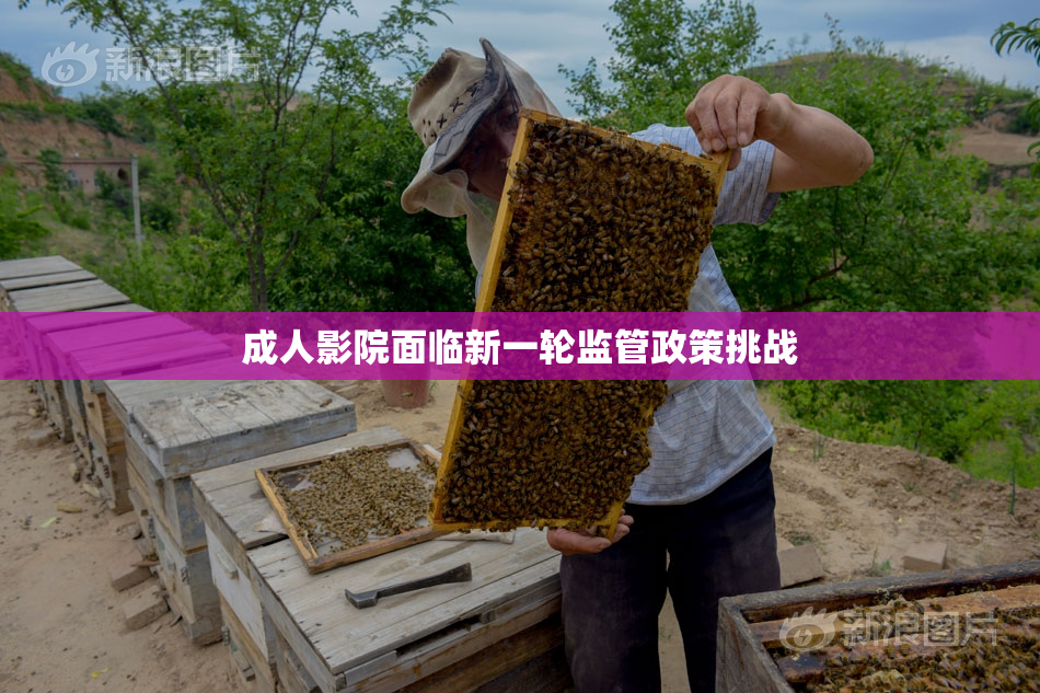 成人影院面临新一轮监管政策挑战