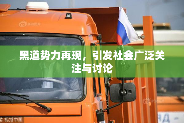 黑道势力再现，引发社会广泛关注与讨论