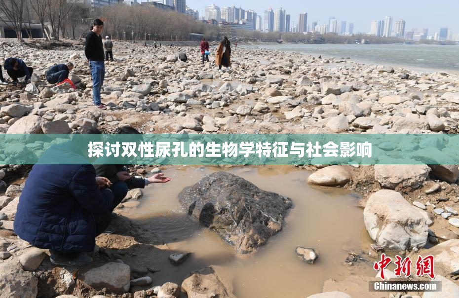探讨双性尿孔的生物学特征与社会影响