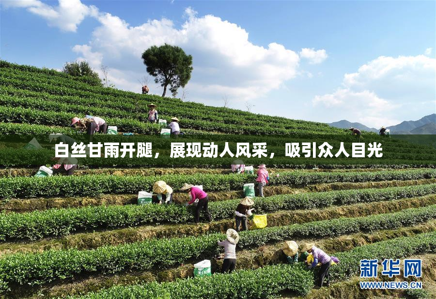 白丝甘雨开腿，展现动人风采，吸引众人目光