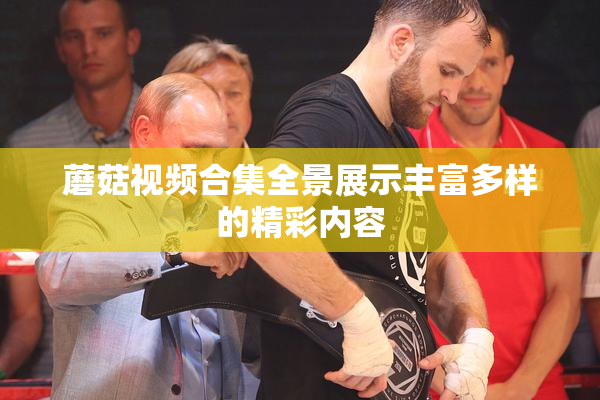 蘑菇视频合集全景展示丰富多样的精彩内容