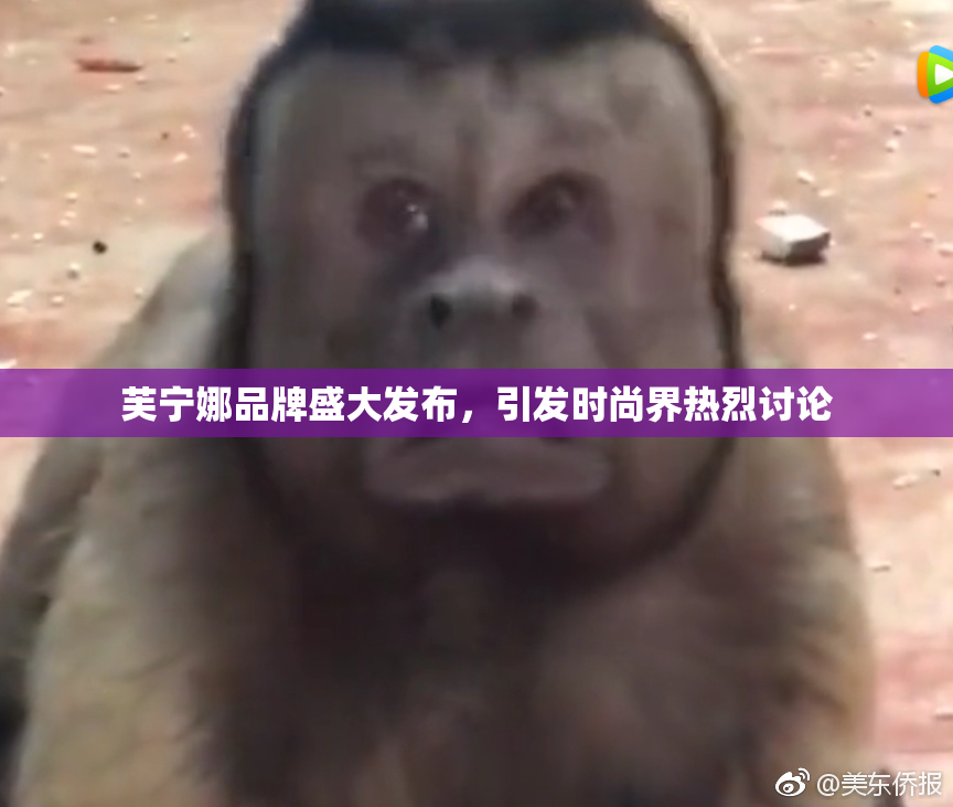 芙宁娜品牌盛大发布，引发时尚界热烈讨论