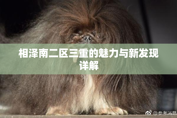 相泽南二区三重的魅力与新发现详解