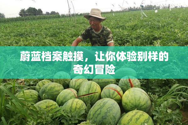 蔚蓝档案触摸，让你体验别样的奇幻冒险