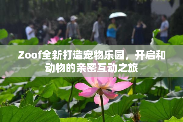 Zoof全新打造宠物乐园，开启和动物的亲密互动之旅