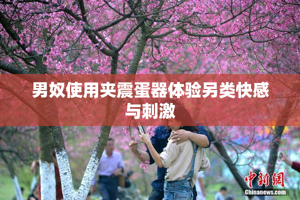 男奴使用夹震蛋器体验另类快感与刺激