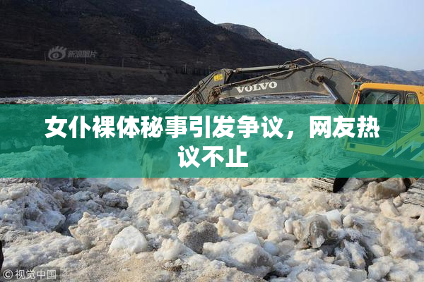 女仆裸体秘事引发争议，网友热议不止