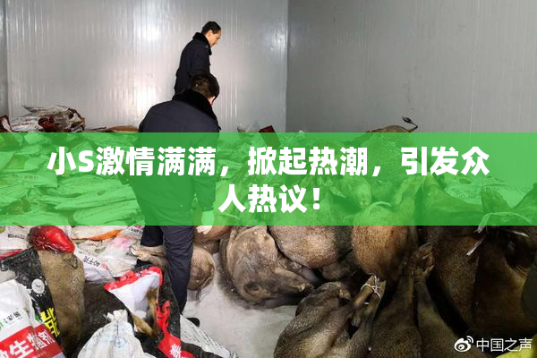 小S激情满满，掀起热潮，引发众人热议！