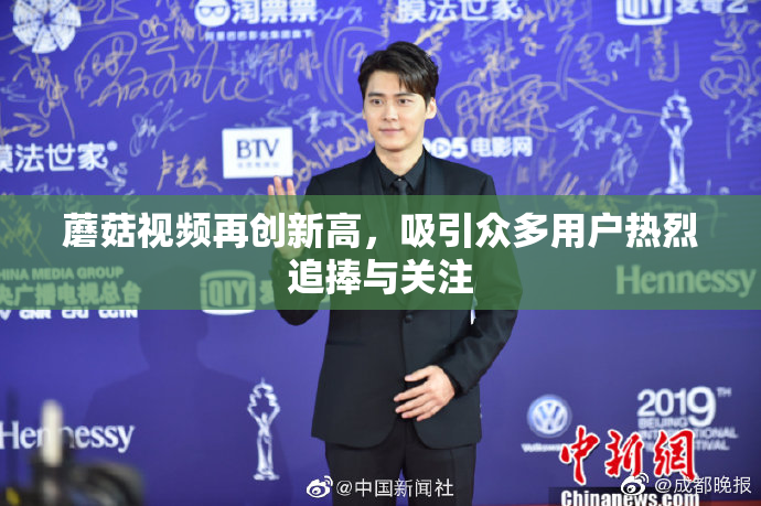 蘑菇视频再创新高，吸引众多用户热烈追捧与关注