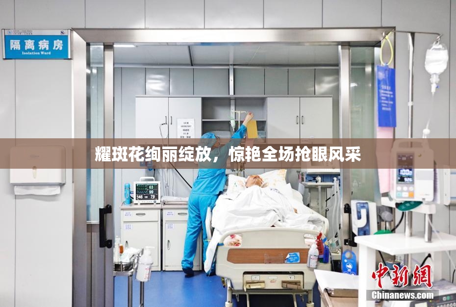 耀斑花绚丽绽放，惊艳全场抢眼风采