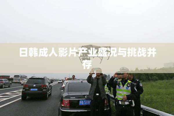 日韩成人影片产业盛况与挑战并存
