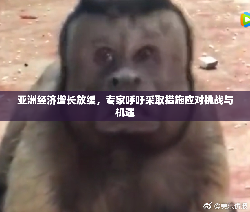 亚洲经济增长放缓，专家呼吁采取措施应对挑战与机遇