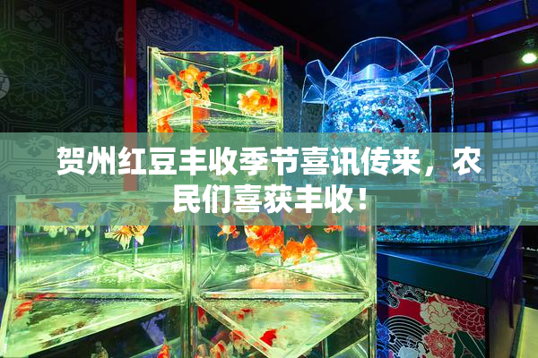 贺州红豆丰收季节喜讯传来，农民们喜获丰收！