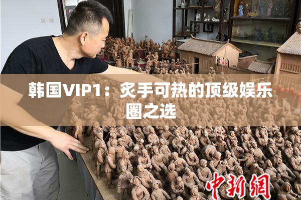 韩国VIP1：炙手可热的顶级娱乐圈之选