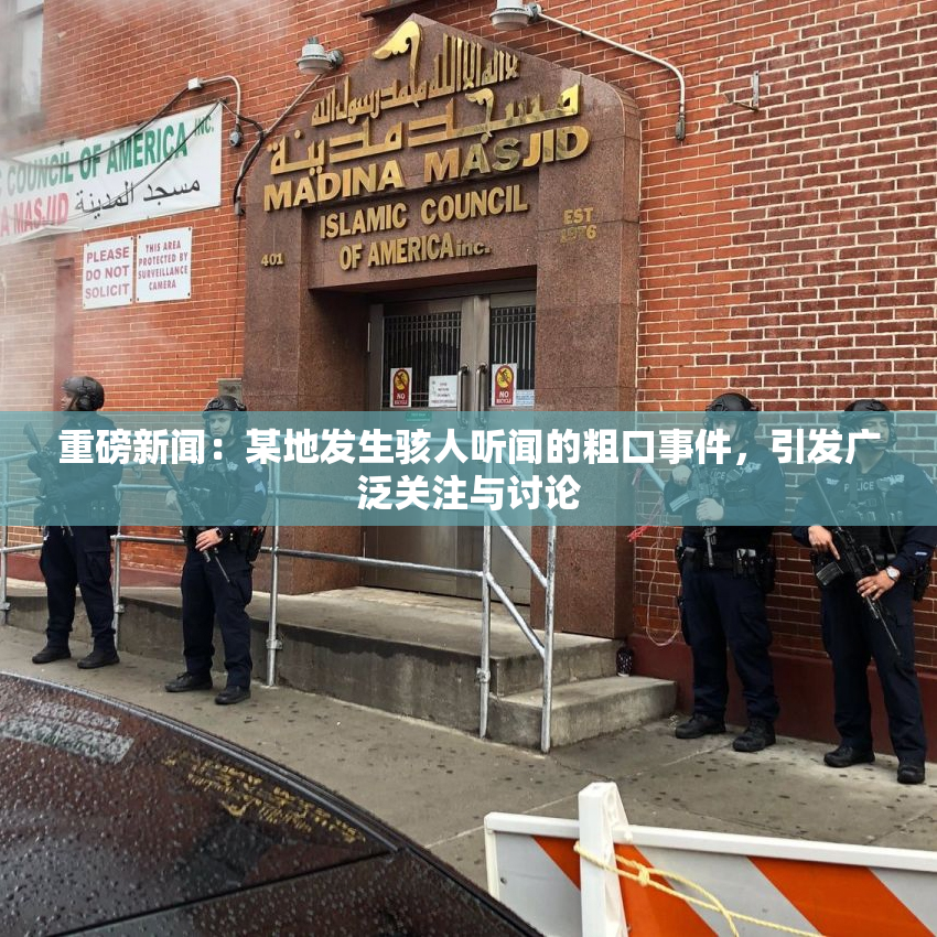 重磅新闻：某地发生骇人听闻的粗口事件，引发广泛关注与讨论