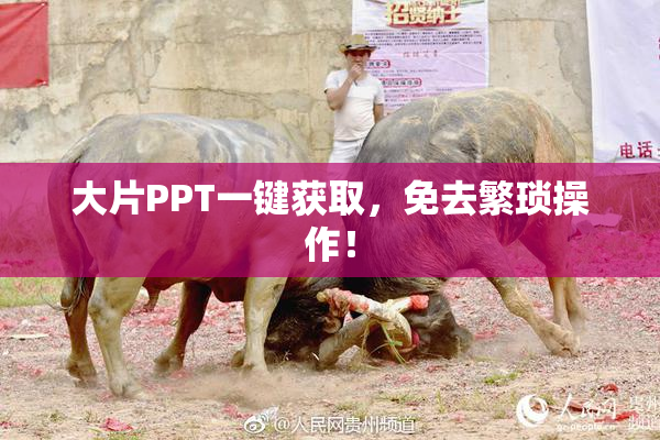 大片PPT一键获取，免去繁琐操作！