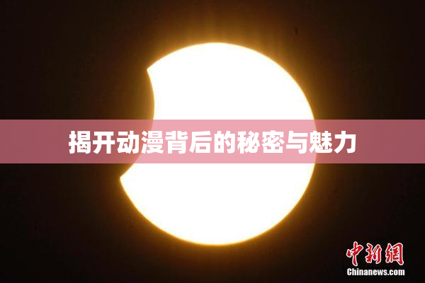 揭开动漫背后的秘密与魅力