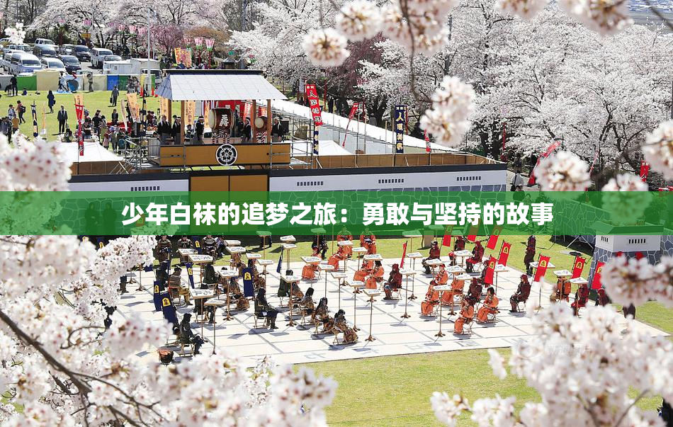 少年白袜的追梦之旅：勇敢与坚持的故事