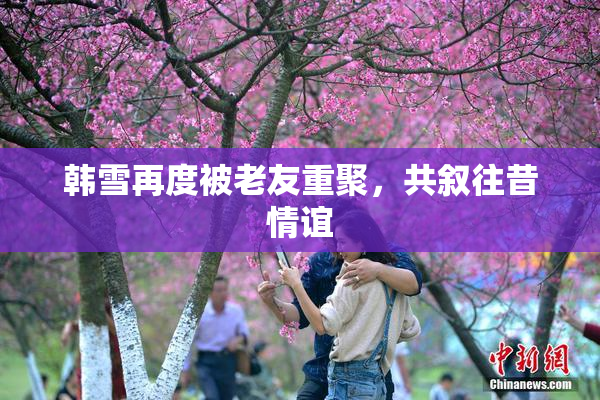 韩雪再度被老友重聚，共叙往昔情谊