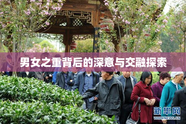 男女之重背后的深意与交融探索