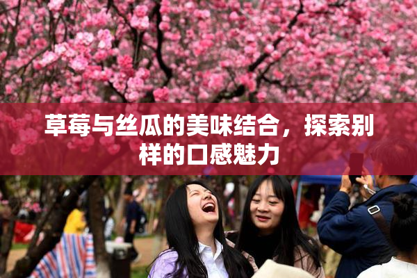 草莓与丝瓜的美味结合，探索别样的口感魅力