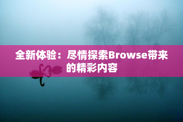 全新体验：尽情探索Browse带来的精彩内容