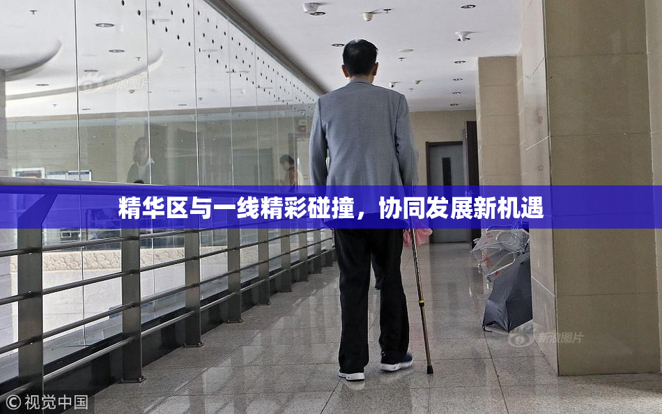 精华区与一线精彩碰撞，协同发展新机遇