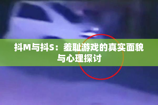 抖M与抖S：羞耻游戏的真实面貌与心理探讨