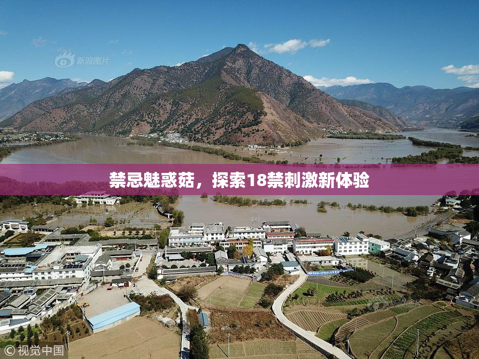 禁忌魅惑菇，探索18禁刺激新体验